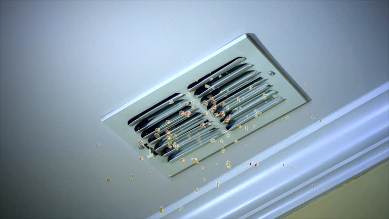 Best Home Air Vent Cleaning  in Brockway, PA